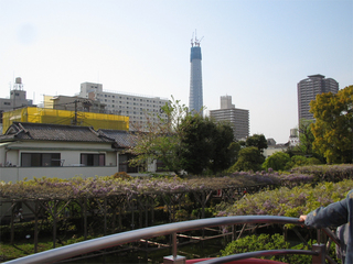 st20100426_02.jpg