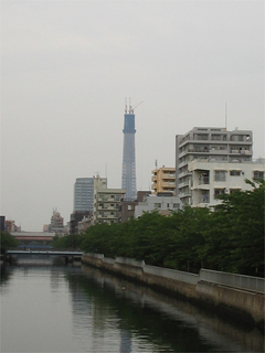 st20100522_3462.jpg