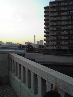 st20100612_001.jpg
