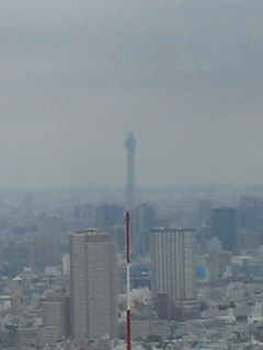 st20100813_IMG_3588.jpg