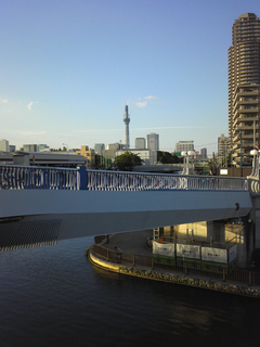 st20101011_02.jpg