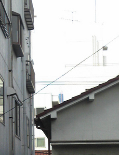 st20101017_142650.jpg
