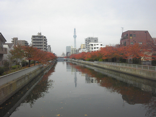 st20101114_112328.jpg