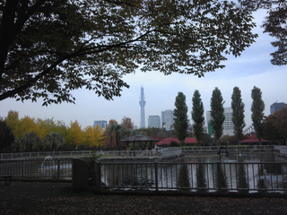 st20101114_114935.jpg