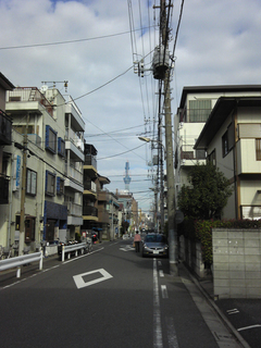st20101121_095630.jpg