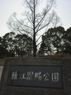 st20110115_135123.jpg