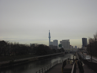 st20110115_135429.jpg