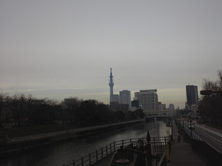 st20110115_135448.jpg