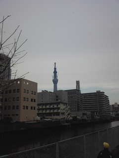 st20110115_141333.jpg