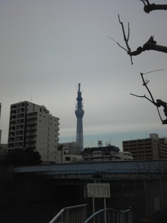 st20110115_141757.jpg