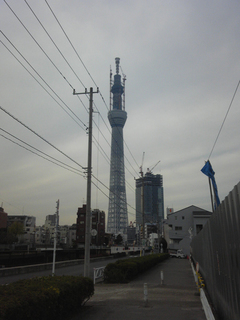 st20110115_144725.jpg