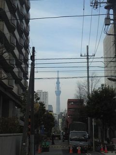 st20110205.jpg