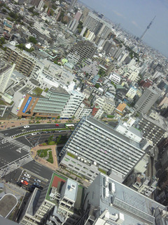 st20110508_132617.jpg