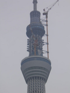 st20110603_0002.jpg