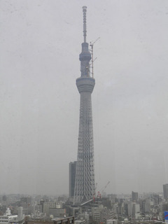 st20110603_0008.jpg
