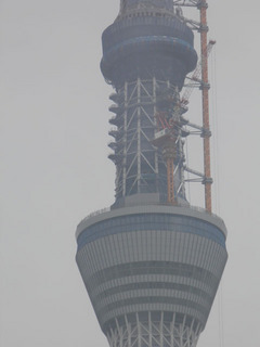 st20110603_0011.jpg