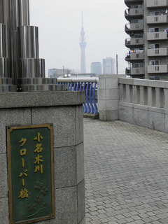st20110605_0004.jpg
