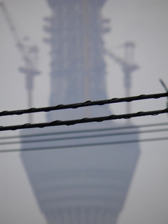 st20110611_002.jpg