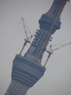 st20110612_007.jpg