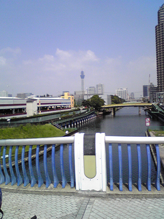 st20Image021.jpg