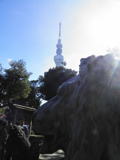 20111112_025.jpg