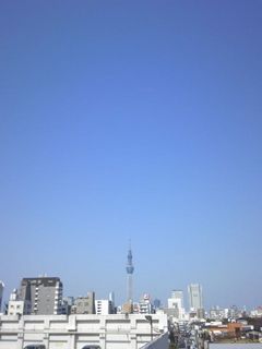 st20110226.jpg